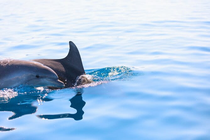 Pula: Half-Day Sailing with Drinks, SUP & GoPro (Max 6 Guests) - Who Should Book This Tour