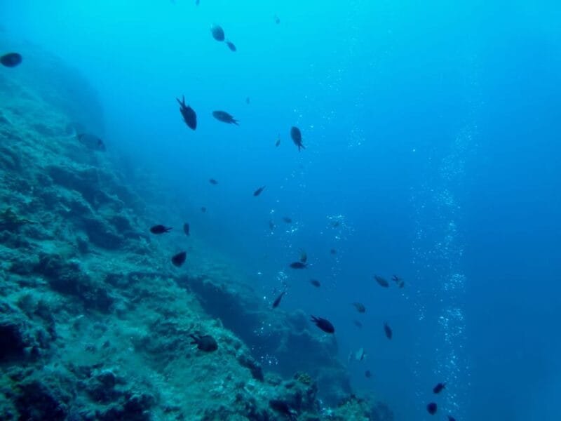 Pula: Introduction to Scuba Diving - Who Should Consider This Experience?