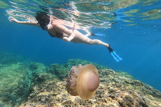 Pula Kayak Adventure - Included Equipment and Gear