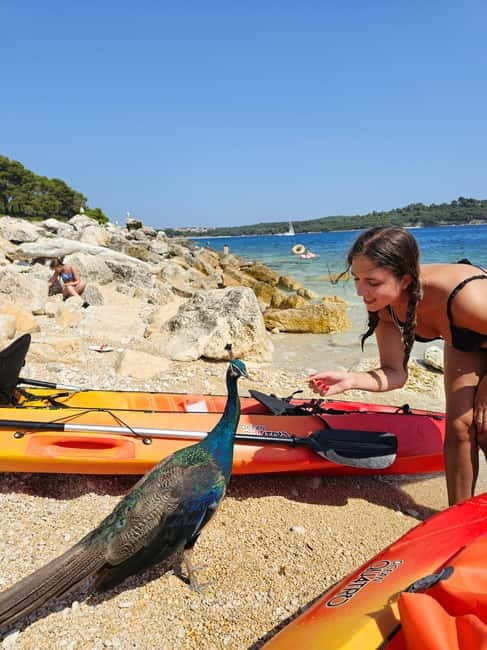 Pula: Kayak Tour to Island St. Jerolim and Kozada - Key Points / Takeaways