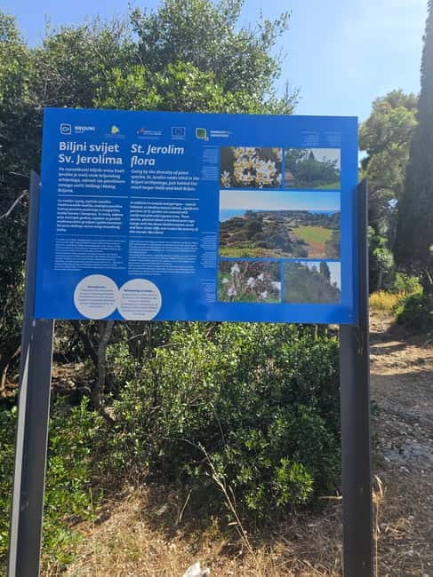 Pula: Kayak Tour to Island St. Jerolim and Kozada - Returning and Sharing Stories