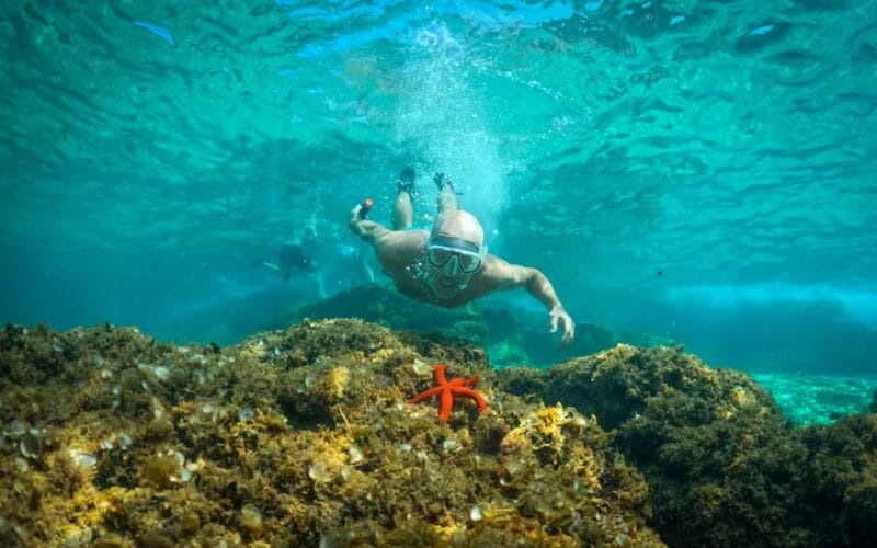 Pula: Kayaking,Snorkeling, Cliff jumping Tour with Wetsuit - Who Would Love This Tour?