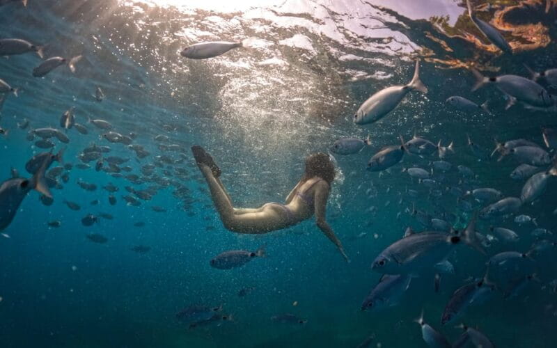 Pula: Kayaking,Snorkeling, Cliff jumping Tour with Wetsuit - FAQ