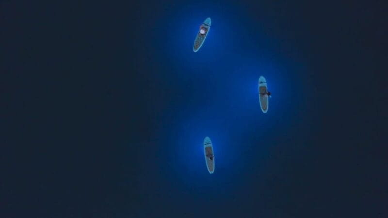 Pula: Night LED Stand-Up Paddle Board Tour - Who Will Love This Tour?