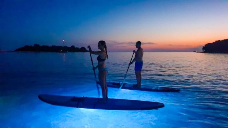 Pula: Night LED Stand-Up Paddle Board Tour - Price and Value: Is It Worth It?