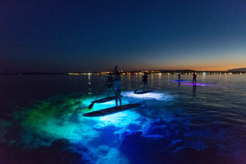 Pula: Night LED Stand-Up Paddle Board Tour - Final Thoughts: Who Should Book?