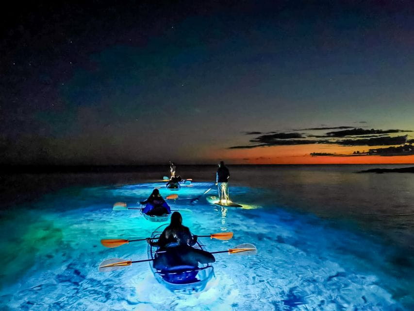Pula: Night-Time Sea Kayaking Tour in Transparent Kayak - Customer Feedback and Ratings