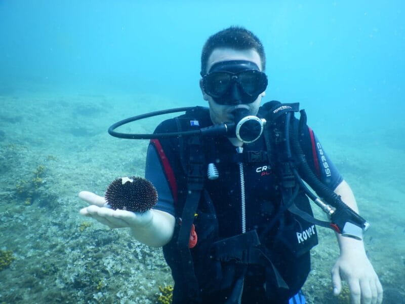 Pula: Private Introduction to Scuba Diving - Who Is This Best For?