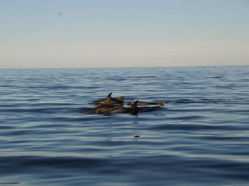 Pula: Sailing into Sunset - Brijuni Views, Drinks & Romance - Final Thoughts: Is This Experience Worth It?