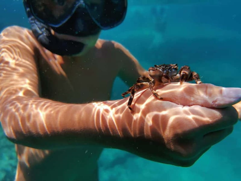 Pula: Sea Adventure  Boat, Kayak, Snorkeling & Cliff Jumps - Return journey: Scenic boat ride back to Marina Polesana