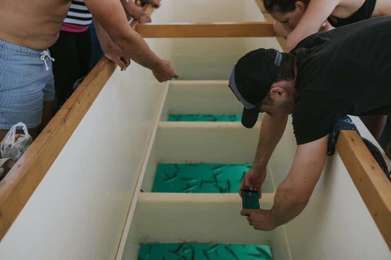 Pula Verudela: Glass-Bottom Boat and Swim with Fish Tour - Key points / Takeaways