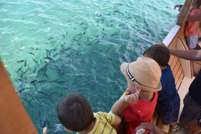 Pula Verudela: Glass-Bottom Boat and Swim with Fish Tour - Authentic Marine Encounters and Highlighted Experiences