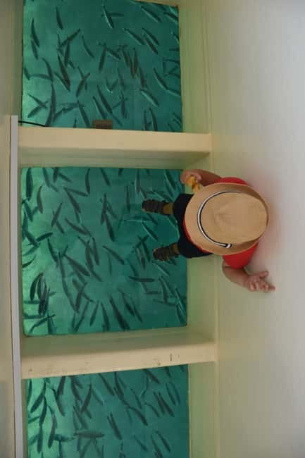 Pula Verudela: Glass-Bottom Boat and Swim with Fish Tour - Who Should Consider This Tour?