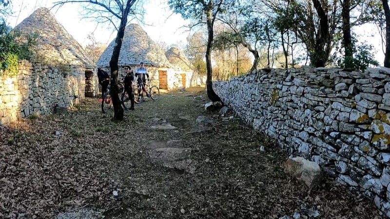 Pula-Vodnjan-Rovinj: E-Bike Tour with traditional dinner - Logistics, Price, and Overall Value