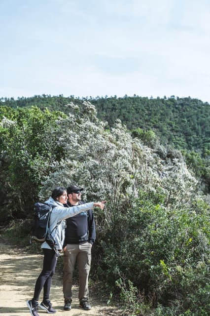 Punta Baffe: hiking immersed in the Mediterranean bush overlooking the sea - Key points / Takeaways