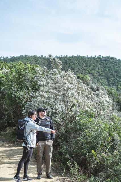 Punta Baffe: hiking immersed in the Mediterranean bush overlooking the sea - Who Will Love This Experience?