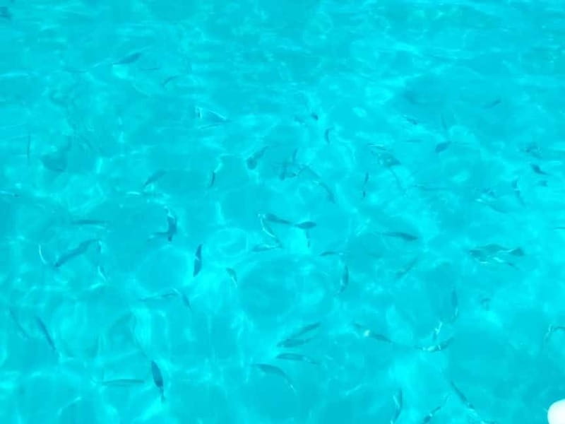 Punta Bianca: boat tours in the wildest nature reserve - Discovering the Raw Beauty of Punta Bianca