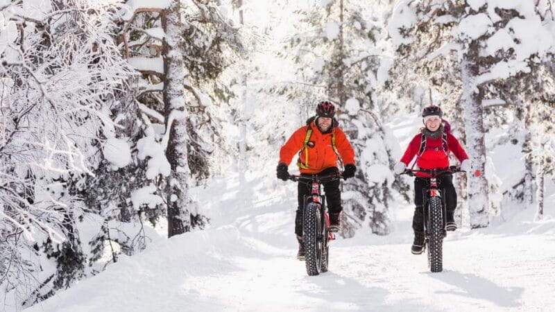 Pyhätunturi: Electric Fatbike Tour in Finnish Lapland - What to Expect: Hands-On Experience and Scenic Immersion