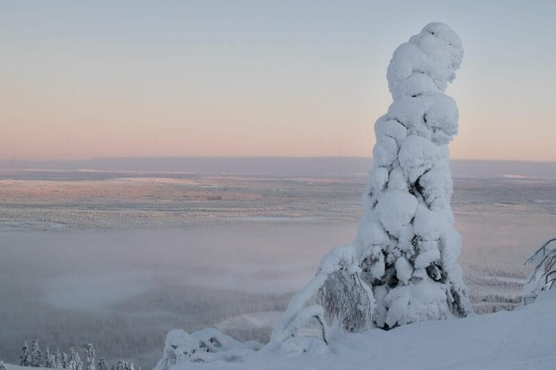 Pyhätunturi: Scenic Snowshoeing Tour in Finnish Lapland - In Final Analysis