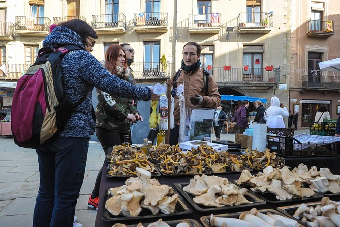 Pyrenees & Medieval Towns Small Group Tour From Barcelona - Meeting Point and Pickup
