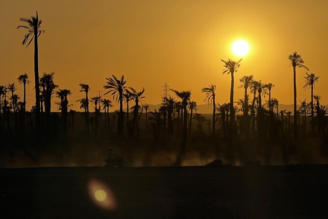 Quad and Camel Ride in La Palmeraie of Marrakech - Accessibility and Policies