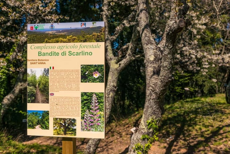 Quad bike excursion with BBQ in the Scarlino Woods - Who Should Skip This Tour?