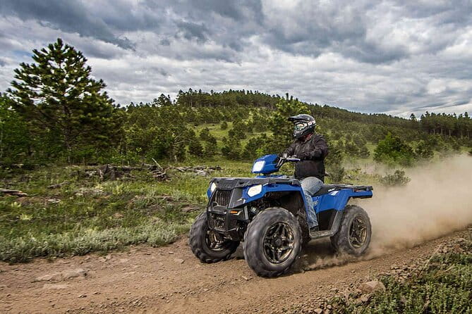 Quad Bike Safari in the Wilderness (ATV) - Key Points / Takeaways