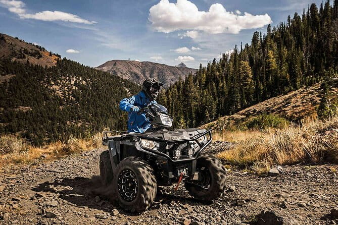 Quad Bike Safari in the Wilderness (ATV) - Price and Value: Is It Worth It?