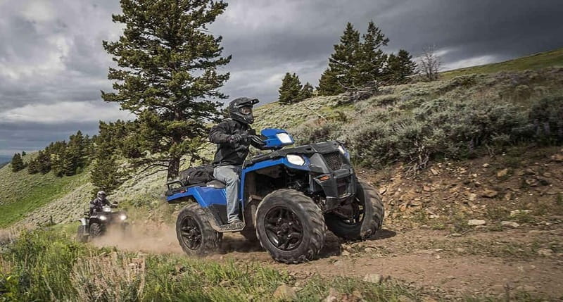 Quad Bike Safari on Tundra - Scenic Rides and Wildlife Watching
