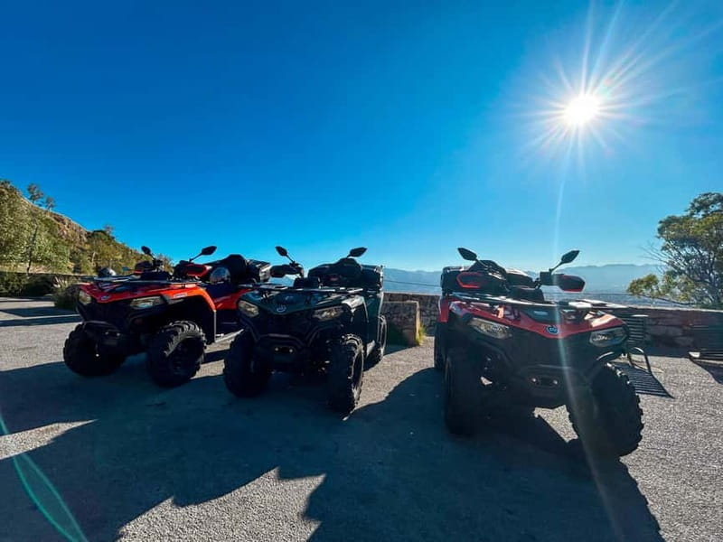 Quad Bike Tours in Palermo Adventure, Panoramas and Sicilian Flavors - Exploring Palermo on Four Wheels: A Full Breakdown