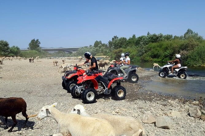 Quad Bikes for Guided Tours. - Discovering Malagas Countryside on Quad Bikes