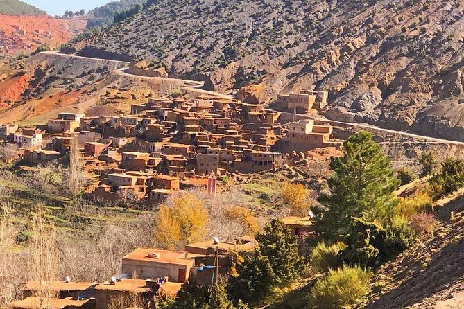 Quad Biking and Camel Ride Guided Day Trip From Marrakech - Traditional Berber Lunch