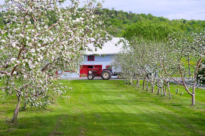 Quebec City - Regular Bike Rental on Île D'orléans - Cycling Route Options