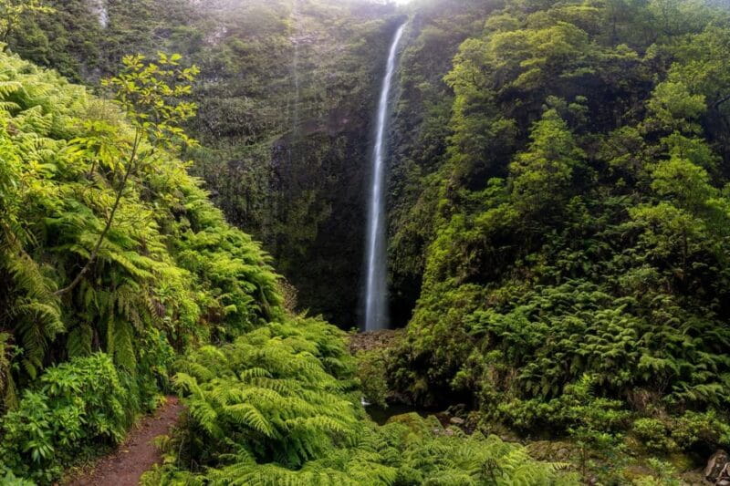 Queimadas Caldeirão Verde Madeira Island Walk - Introduction: A Walk Through Madeira’s Green Heart