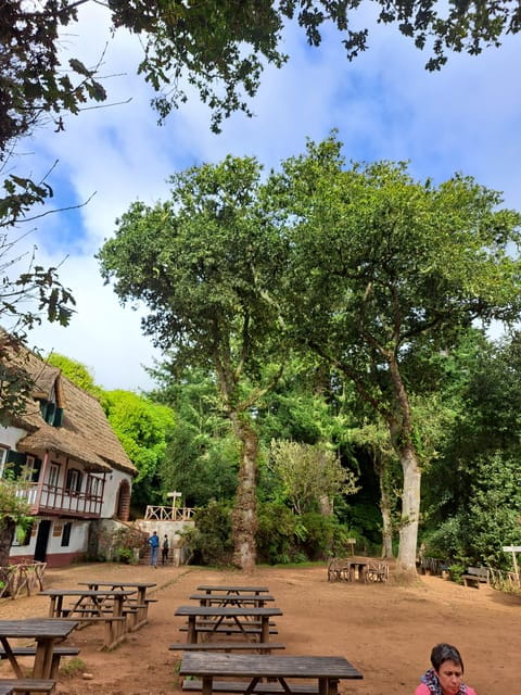 Queimadas Caldeirão Verde Walking tour with guide - Key Points / Takeaways