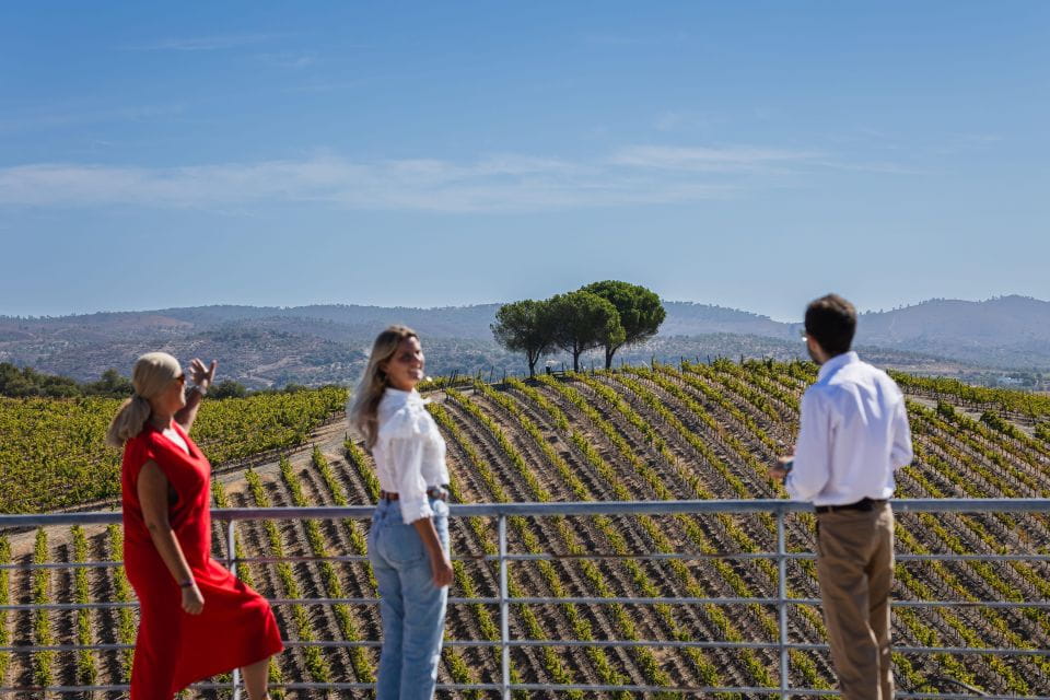 Quetzal Wine Workshop - Recap