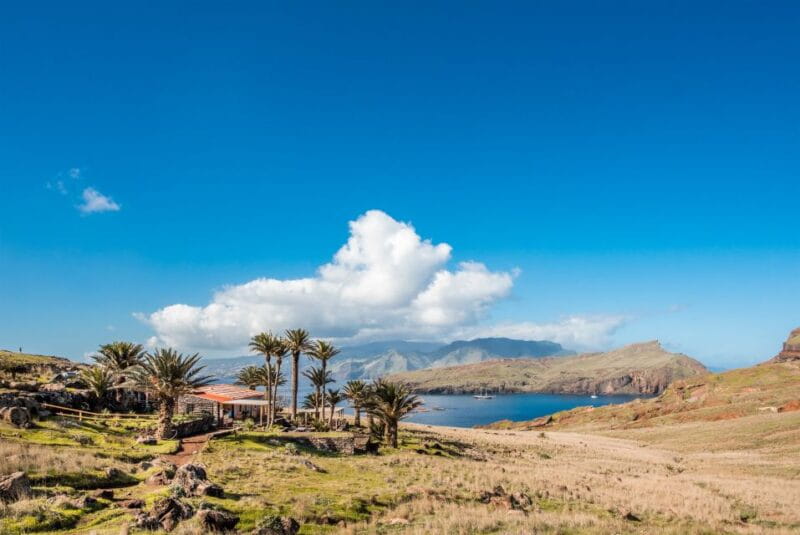 Quinta do Lorde: Kayak Experience in Ponta de São Lourenço - Who Is This Tour Best For?