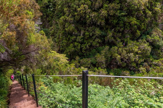 Rabaçal - Levada das 25 Fontes - Why This Tour Is a Great Investment