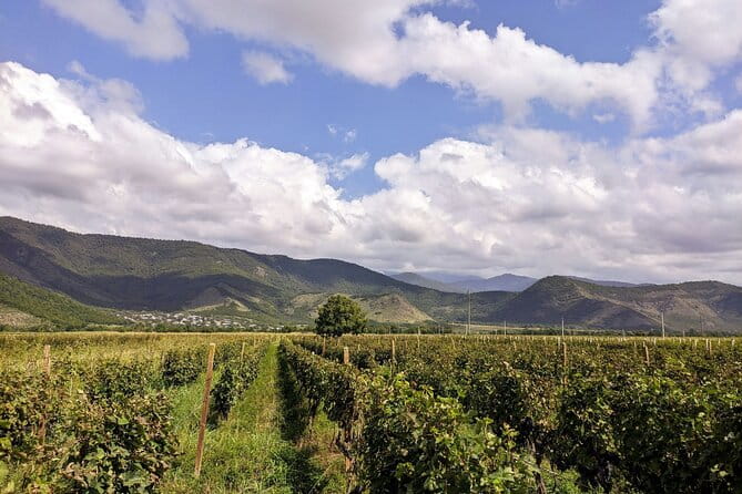 RACHA region with TSKHRAJVARI and wine tasting from Kutaisi - FAQ