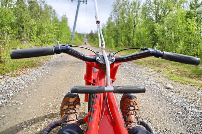 Racing Mountain Cart in Dagali near Geilo, Norway - Key points / Takeaways