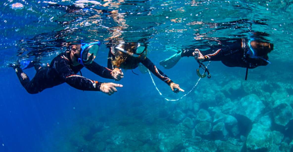 Radazul: Family-Friendly Snorkeling Tour - Key Points