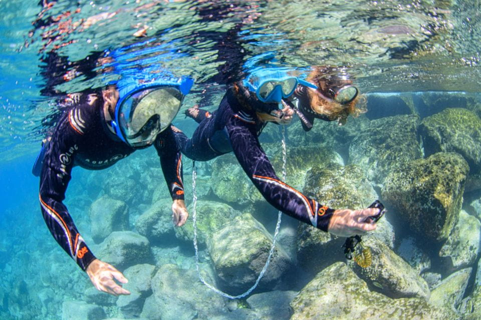 Radazul: Family-Friendly Snorkeling Tour - Snorkeling Experience Highlights