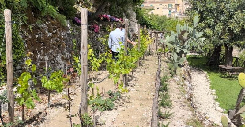 Radici: IImmerse yourself in the heady scents of our garden - Key Points / Takeaways