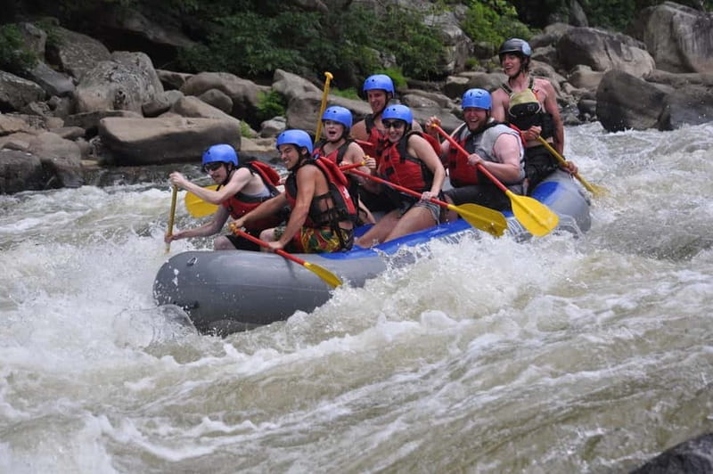 Rafting Tour, Transfer & Combo Options with Veg Lunch Option - Introduction: An Adventure Worth Watching For