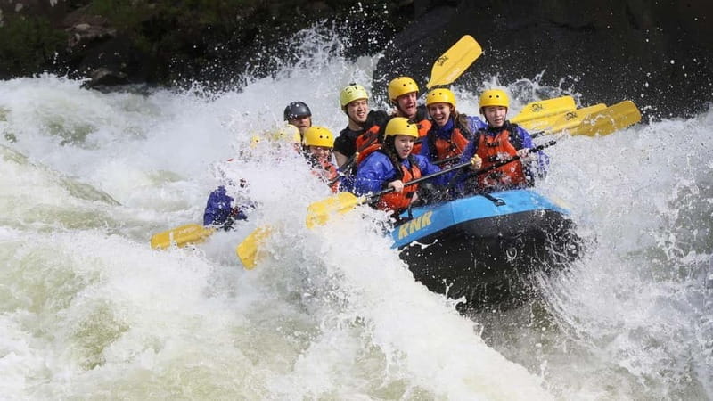 Rafting Tour, Transfer & Combo Options with Veg Lunch Option - Key Points / Takeaways