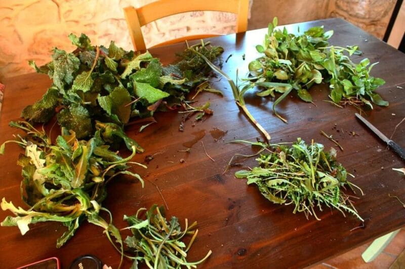 Ragusa Countryside Home Cooking Class & Meal - Key Points / Takeaways