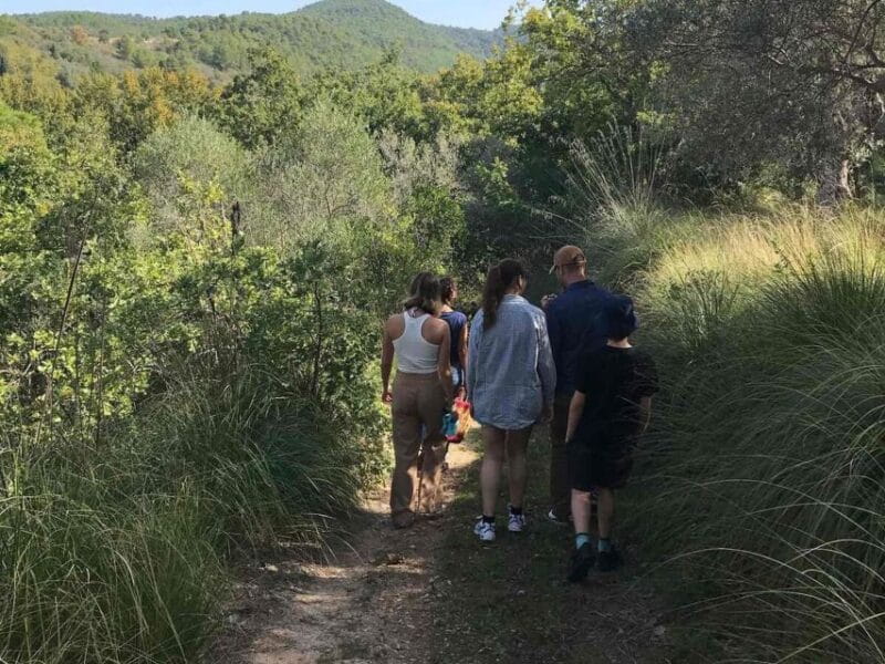 Ragusa Countryside Home Cooking Class & Meal - Final Thoughts: Is It Worth It?