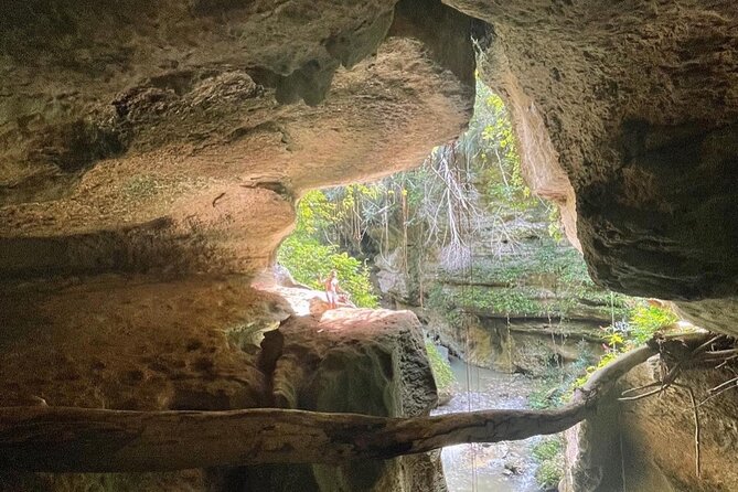 Rainforest Caves and Waterfalls Exploration With Transportation - Highlights and Unique Experiences