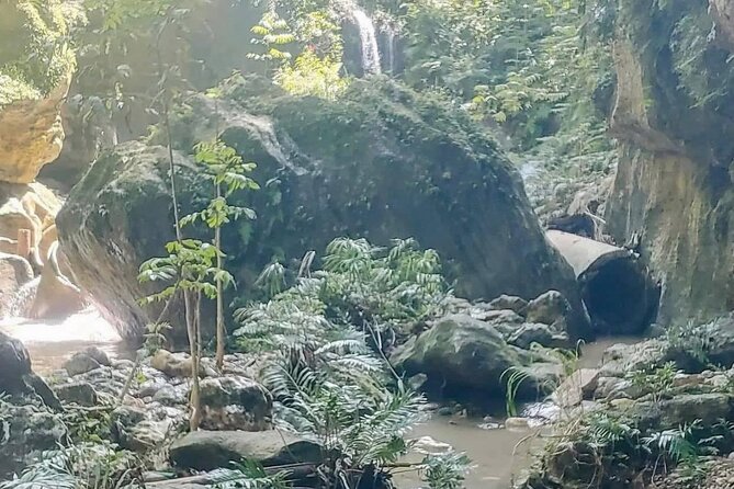 Rainforest Caves and Waterfalls Exploration With Transportation - Fitness Level and Accessibility