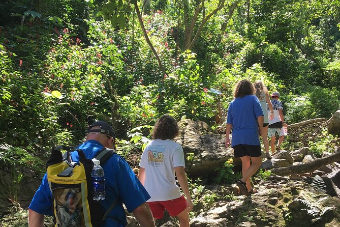 Rainforest Tour in San Juan, Puerto Rico - Suitability for Visitors